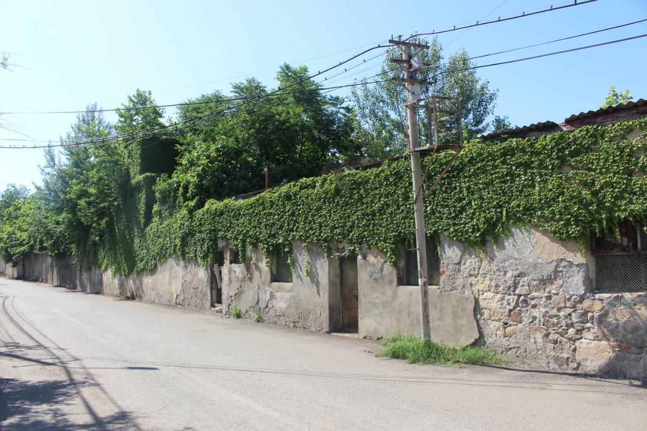Hotel Zarzma Kutaisi Esterno foto