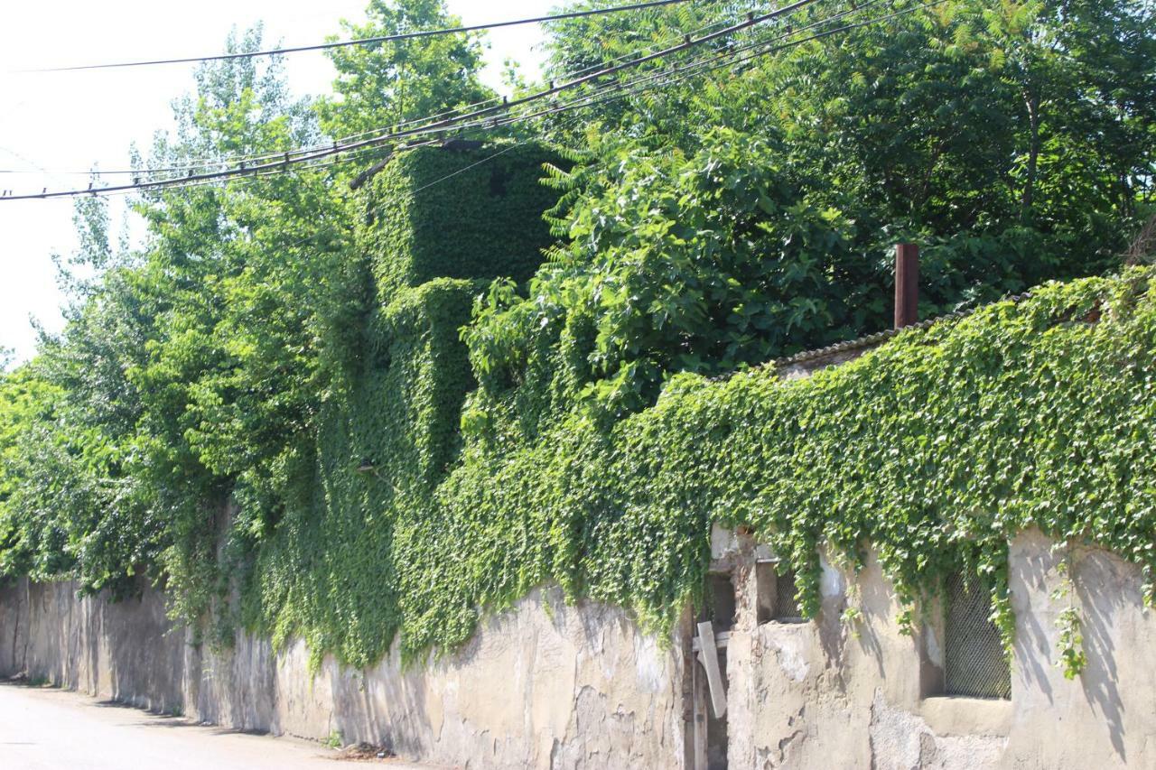 Hotel Zarzma Kutaisi Esterno foto